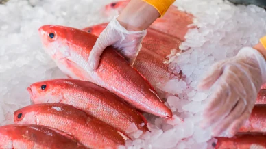 Festival Tempero Bahia chega a sua 9ª edição sob os aromas e sabores dos Biomas da Bahia – Mata Atlântica