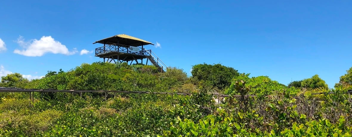 Parque das Dunas